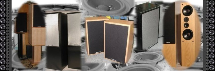 Subwoofer Myths Busted: What Really Matters in Deep Bass Performance