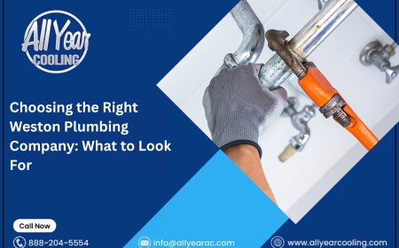 Choosing the Right Weston Plumbing Company: What to Look For