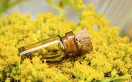 Establishing a Profitable Galbanum Oil Processing Plant Setup 2025, Project Cost Details