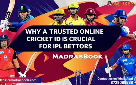 Looking for a Trusted Online Cricket ID? Here's What You Need to Know