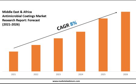 Middle East & Africa Antimicrobial Coatings Market Key Drivers & Market Dynamics