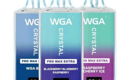WGA Crystal Pro Max 15000 Puffs Box of 10