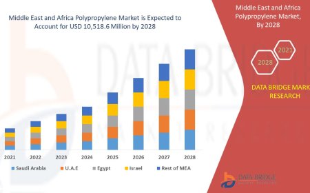 Middle East and Africa Polypropylene Market Demand, Opportunities and Forecast By 2028