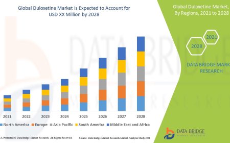 Emerging Trends and Opportunities in the Duloxetine Market: Forecast to 2028