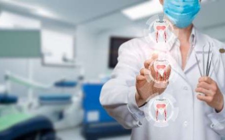 From Toothache to Treatment in a Single Day in Preston