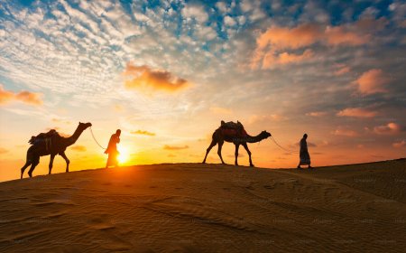 Top Family-Friendly Sharjah Desert Safari Packages in 2025