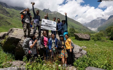 How to Plan Your Perfect Valley of Flowers Trek: A Beginners Guide