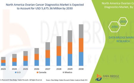 North America Ovarian Cancer Diagnostics Market Graph: Growth, Share, Value, Size, and Insights
