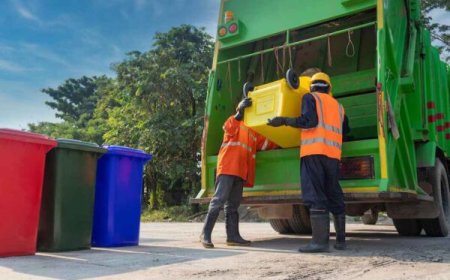 Ealing Bin Collection: Let Go of Clutter and Embrace Renewal