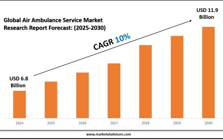 Air Ambulance Service Market Overview with Growth Insights