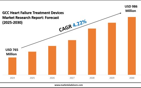 GCC Heart Failure Treatment Devices Market Overview with Growth Insights