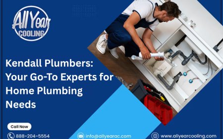 Kendall Plumbers: Your Go-To Experts for Home Plumbing Needs