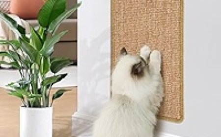 at Scratching Mat: The Essential Pet Item for Every U.S. Household