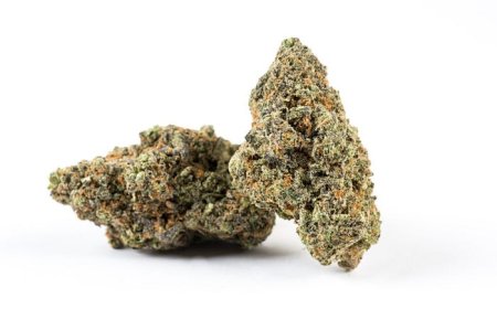 Buy Cheap Weed Online: A Complete Guide to Affordable Cannabis Shopping