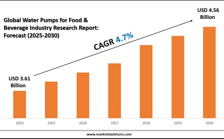 Water Pumps for Food & Beverage Industry Market Overview with Growth Insights
