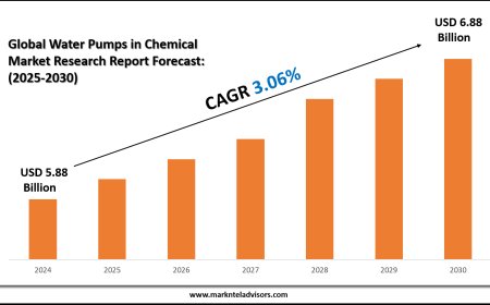 Water Pumps in Chemical Market Overview with Growth Insights