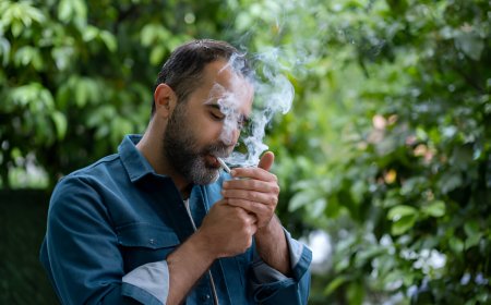 Manchester Light Cigarettes vs. Other Light Brands: What Sets Them Apart?