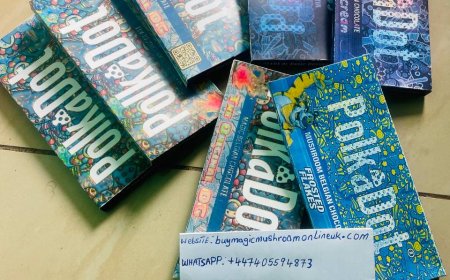 HOW TO USE MAGIC MUSHROOM CHOCOLATE FOR PTSD