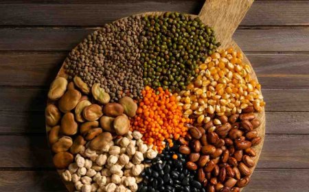 India's Leading Beans Brands & Dealers – Explore & Buy Today!