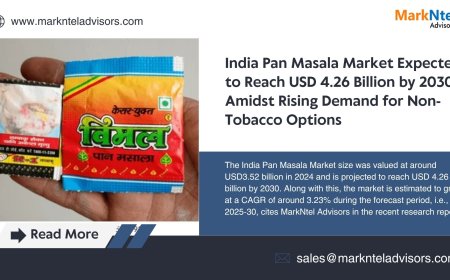 India Pan Masala Market Projections: 3.23% CAGR From 2025 to 2030
