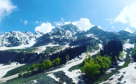 Perfect Srinagar Gulmarg Pahalgam Sonmarg Itinerary Guide