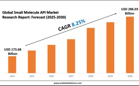 Small Molecule API Market Overview with Growth Insights