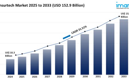 Global Insurtech Market 2025 | Share, Demand & Forecast Till 2033