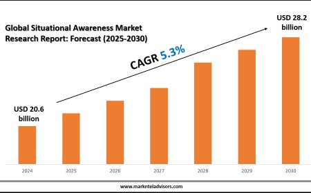 2025 Outlook: Situational Awareness Market Growth and Future Trends
