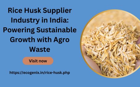 Rice Husk Supplier Industry in India: Powering Sustainable Growth with Agro Waste