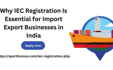 Why IEC Registration Is Essential for Import Export Businesses in India