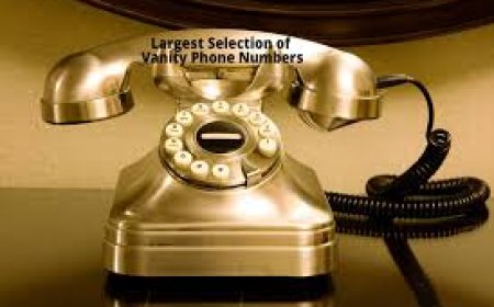 available phone number search