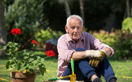 Gardening Tips For Seniors With Limited Space