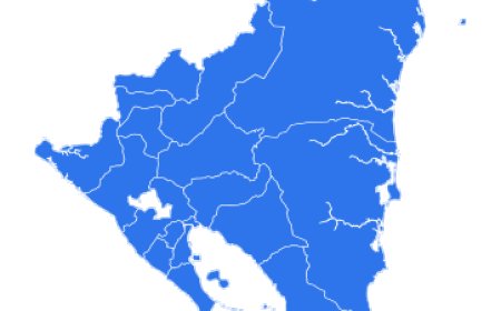 Nicaragua Import Data: Comprehensive Analysis for Traders