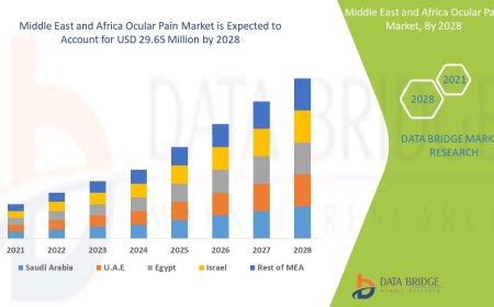 Middle East and Africa Ocular Pain Market Opportunities: Growth, Share, Value, Size, and Scope