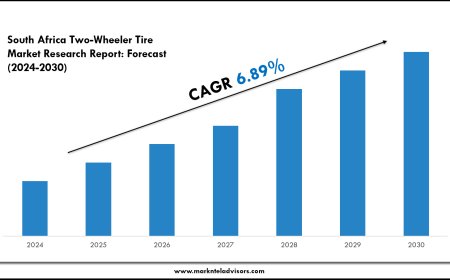 2024 Outlook: South Africa Two-Wheeler Tire Market Growth and Future Trends