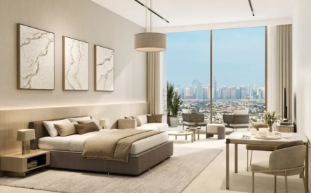 Premium Property Buying Guide for the First-Time Luxury Homeowners