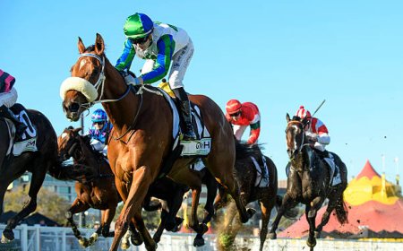 Discover the Best Aussie Betting Sites: A Guide for Smart Punters