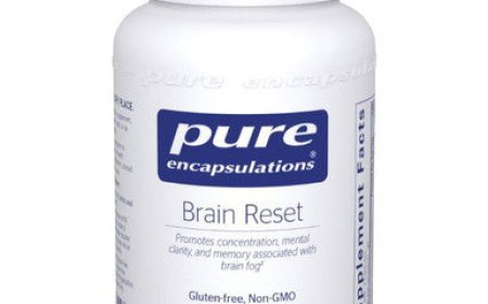 Unlock Total Wellness: Top Brain Health Supplements and Liver Support Supplements That Work Together