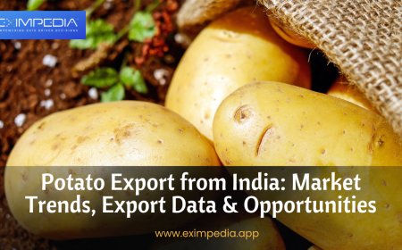 Potato Export from India: Market Trends, Export Data & Opportunities