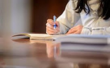 Revolutionizing Nursing Education: The Academic Impact of BSN Writing Support