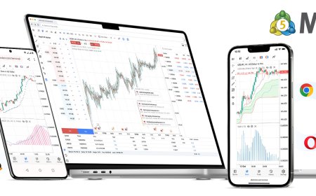 Why MT5 is the Smart Trader’s Best Friend: 10 Reasons to Choose It