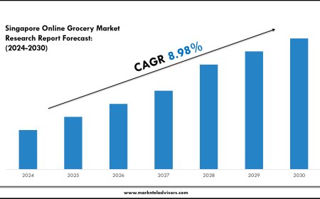 Singapore Online Grocery Market Overview with Growth Insights