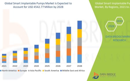 Smart Implantable Pumps Market Analysis On Size and Industry Demand 2028