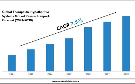 2024 Outlook: Therapeutic Hypothermia Systems Market Growth and Future Trends