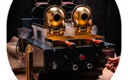 Lab Coffee Roaster 100g: A Professional’s Guide
