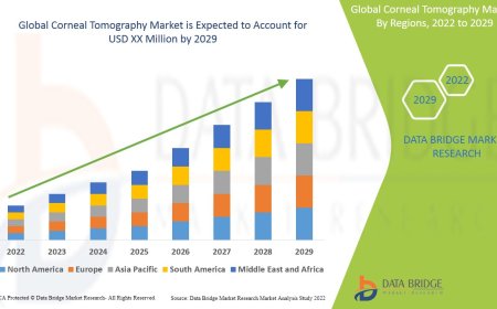 Corneal Tomography Market Size, Status and Industry Outlook During 2029