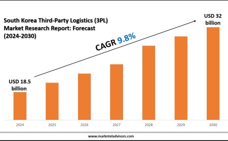 South Korea Third-Party Logistics (3PL) Market Volume, Trends and Growth Outlook Report 2030