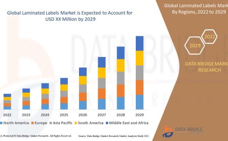 Laminated Labels Market Size, Status and Industry Outlook During 2029