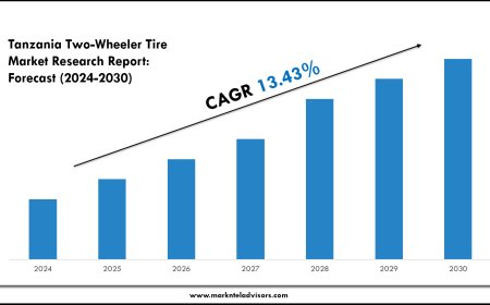Tanzania Two-Wheeler Tire Market Volume, Trends and Growth Outlook Report 2030