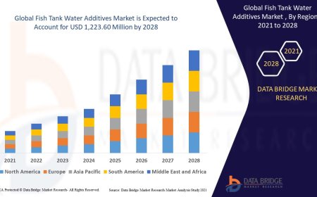 Fish Tank Water Additives Market Size, Status and Industry Outlook During 2028